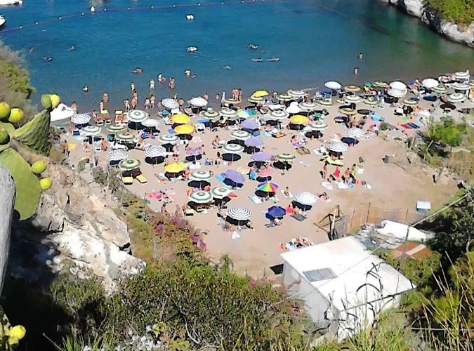 La Vite Сasa de vacaciones