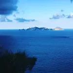 La Vite
