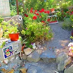 Casa de Férias La Vite Ponza