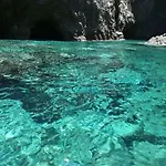 La Vite *