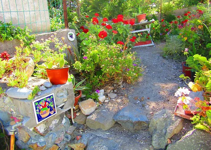 Holiday home La Vite Ponza